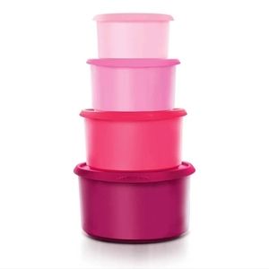 Tupperware New One-touch Topper Canisters with Lids, seals Set of 4 Purple pink